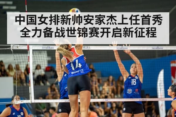 volleyball match
