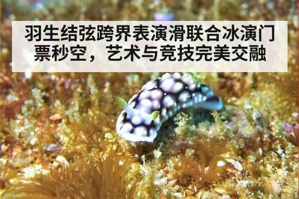 羽生结弦跨界表演滑联合冰演门票秒空，艺术与竞技完美交融